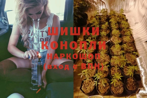 гидропоника Инсар