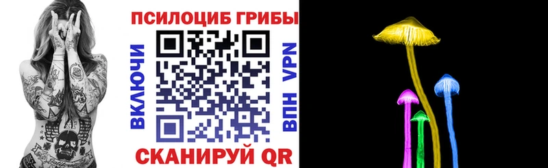 Купить закладки Невель Псилоцибиновые грибы GOLDEN TEACHER